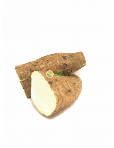 Lotus Root Washed (洗水莲藕)